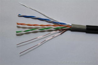 广东普菲特电线电缆厂 解析室外双护套Cat5e全铜网线的卓越性能与应用